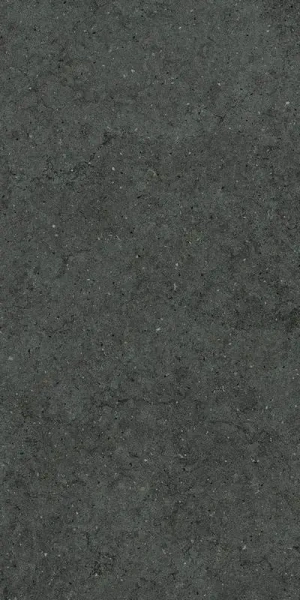 Керамогранит  / Италон / Italon / Forum / Форум/ Стоун Петрол 60x120 / STONE PETROL 60X120